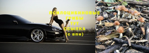 тгк Баксан
