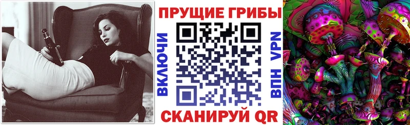закладка  Севск  Псилоцибиновые грибы мицелий 